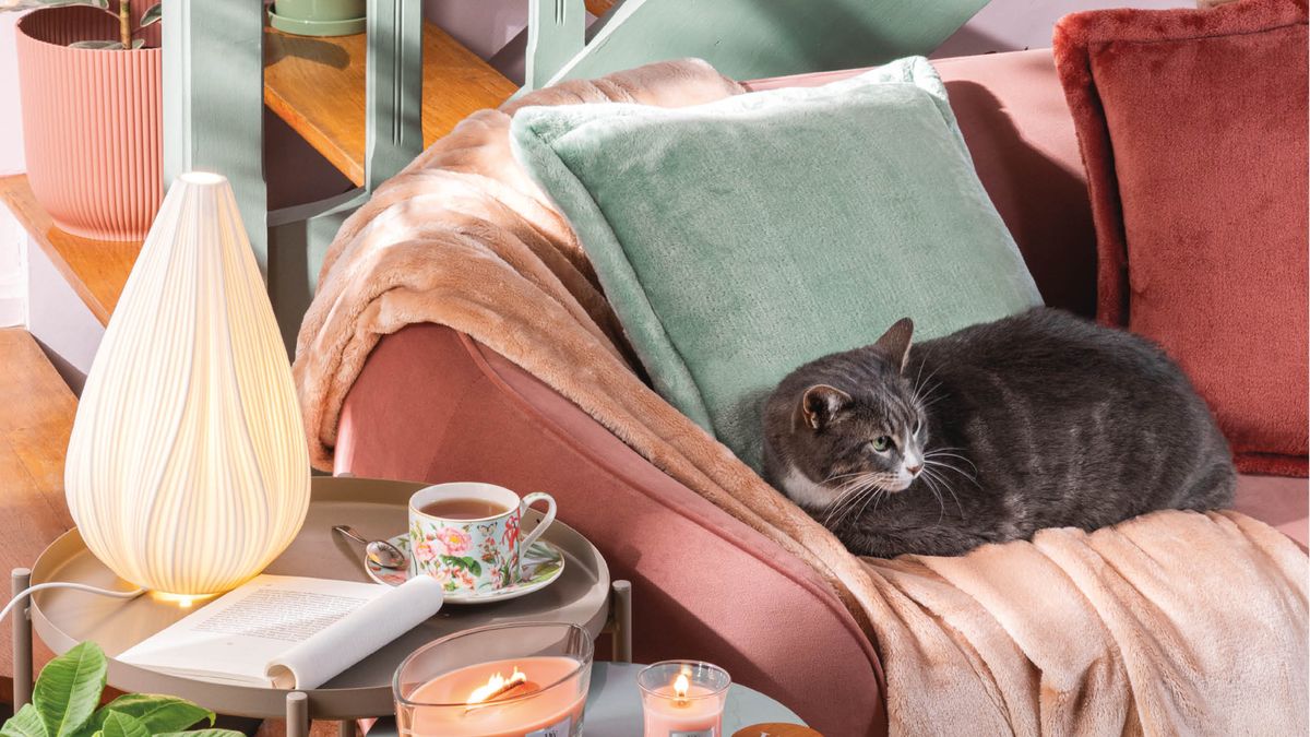 Comment créer une ambiance bucolique à la maison ?