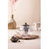 Théière en verre Gyokuro 0,8 L - Visuel 1