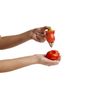Equeuteur à tomates - Visuel 4