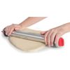 Rouleau inox avec 4 disques - Visuel 1