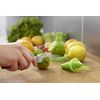 Citrus spray - Visuel 2