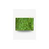 Sac de conservation Herbes folles - Visuel 1
