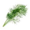 Lingot Aneth Bio - Visuel 0