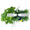 Potager d'intérieur Classic Blanc - Visuel 4