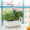 Potager d'intérieur Smart Blanc - Visuel 2