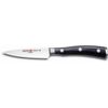 Couteau d'office Classic Ikon 9 cm