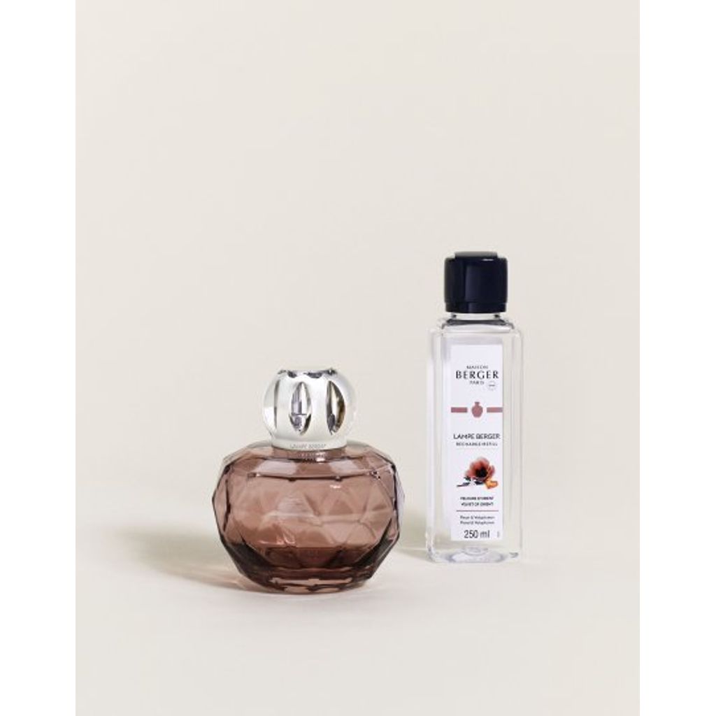Lampe Berger Parfums De Maison A Rose is a Rose Fragrance Oil 16.90 fl oz France