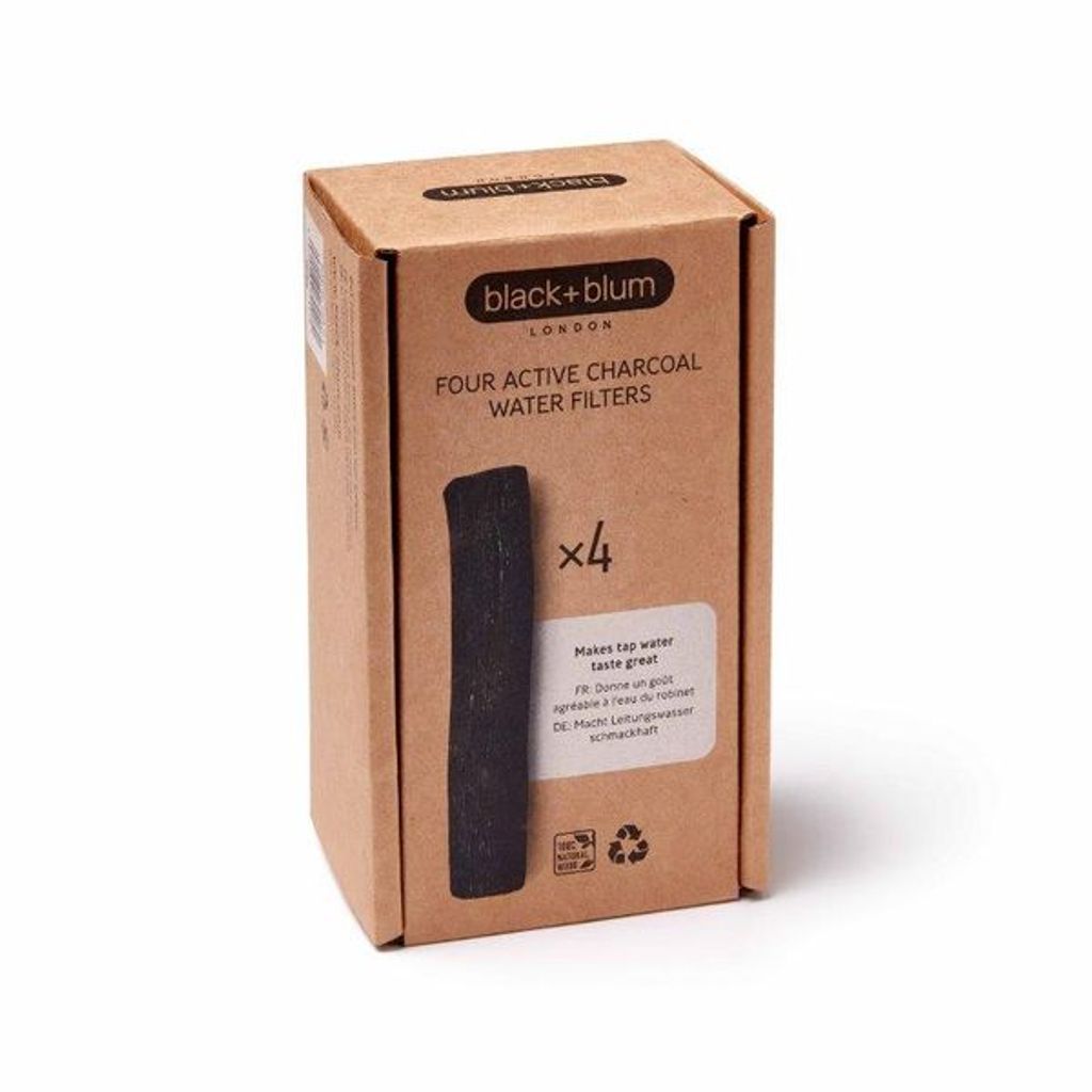 Filtre de charbon actif x 4 - Visuel 5