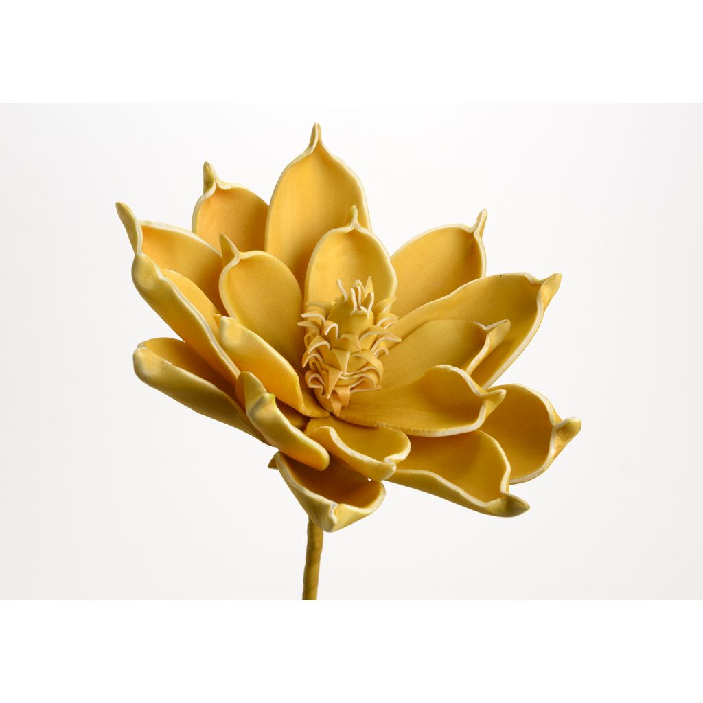 Fleur Ania moutarde - Visuel 0