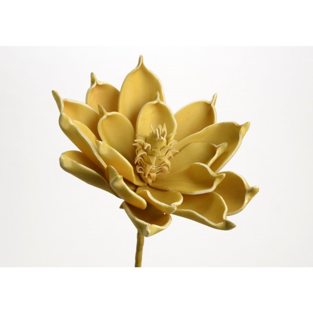 Fleur Ania moutarde - Visuel 1