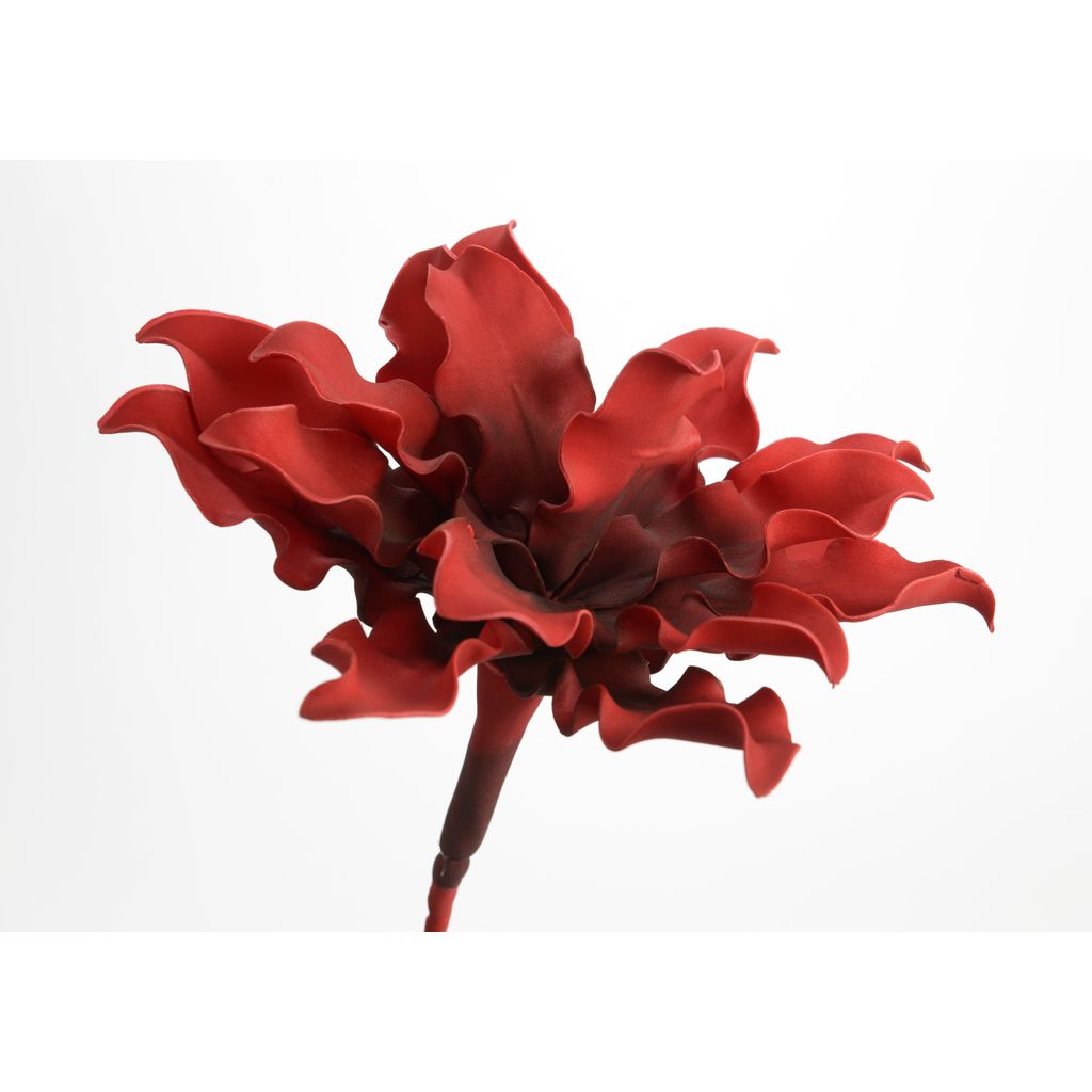 Fleur Cumbia rouge