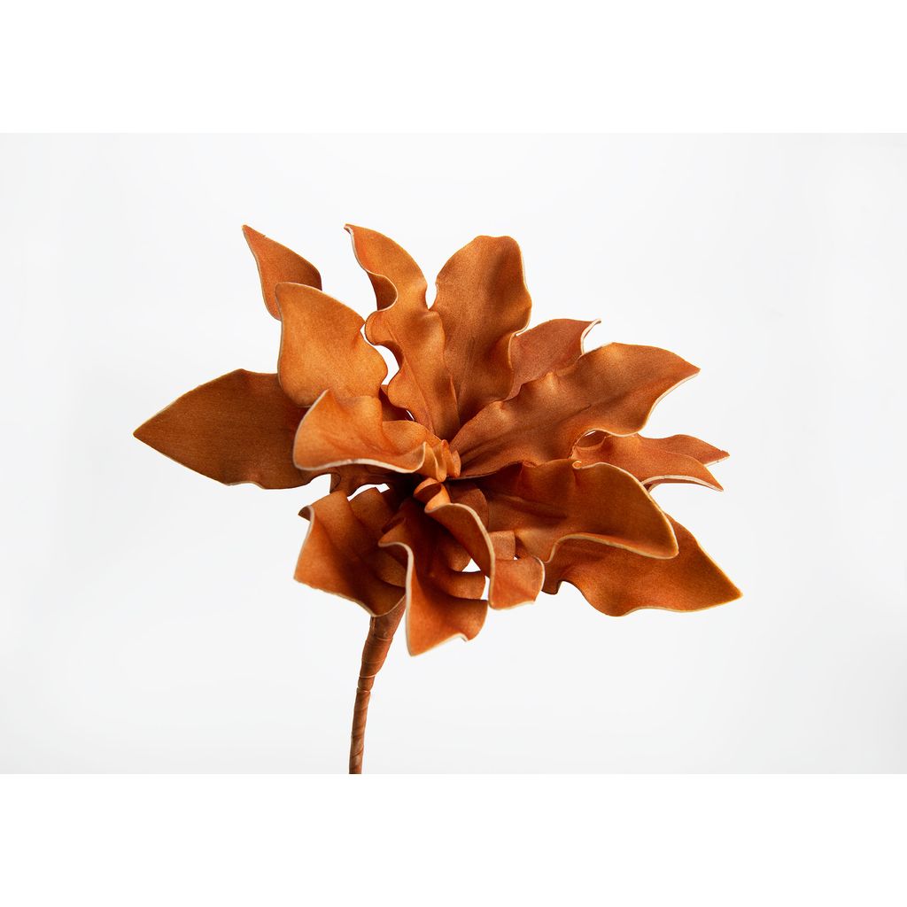 Fleur Cumbia orange foncé