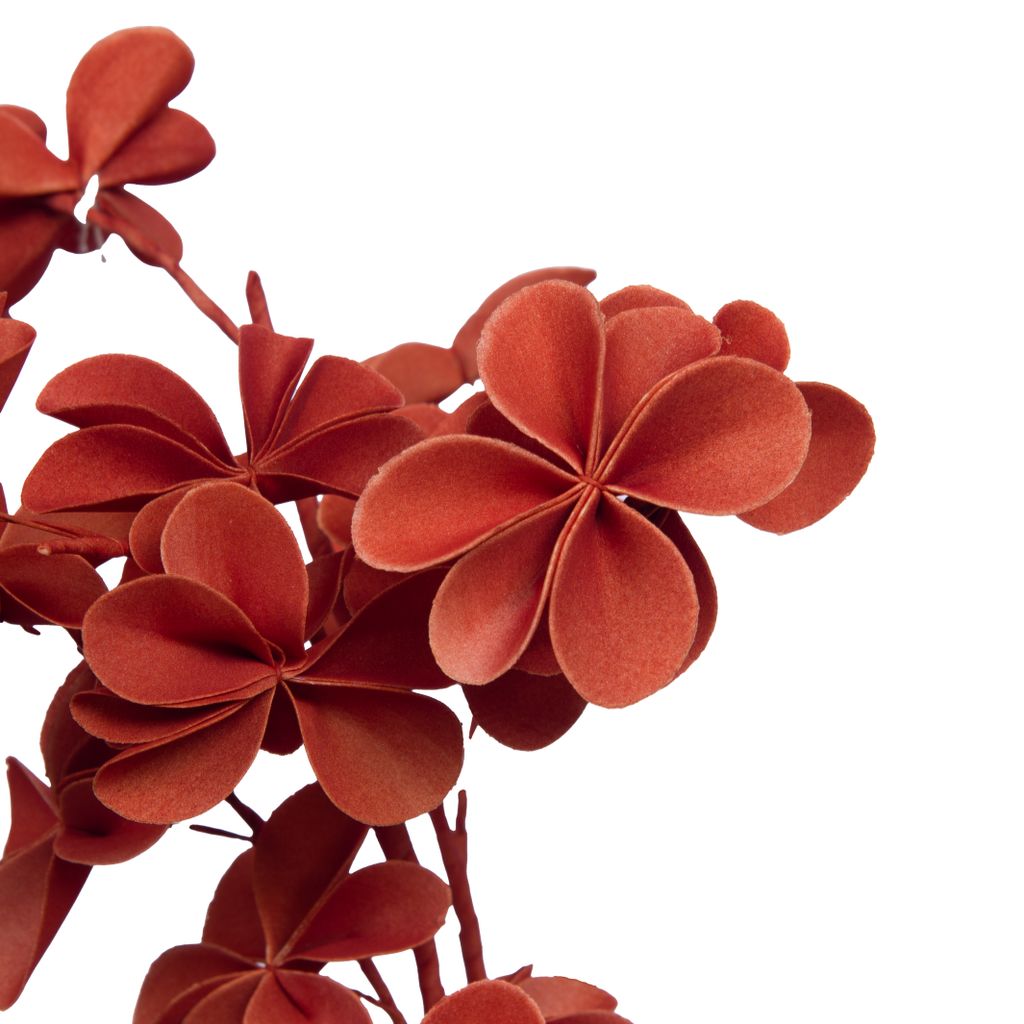Fleur en eva Alma Brique - Visuel 1