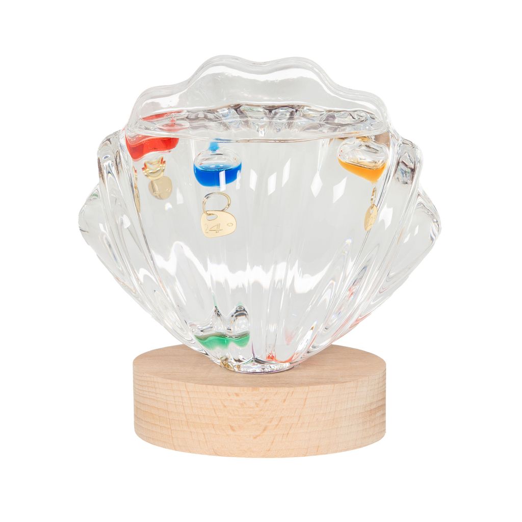 Thermomètre Galilée coquillage - Visuel 0