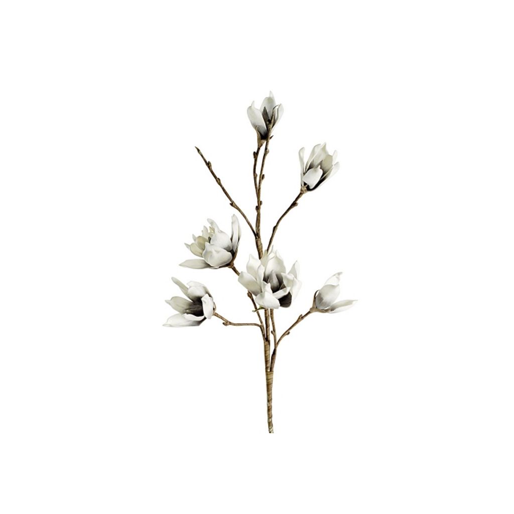 Magnolia Gris 105 cm - Visuel 0