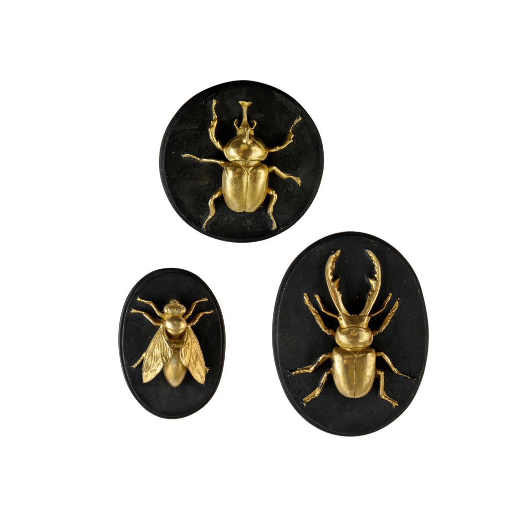 Lot de 3 decorations murales abeille scarabée lucane - Visuel 0
