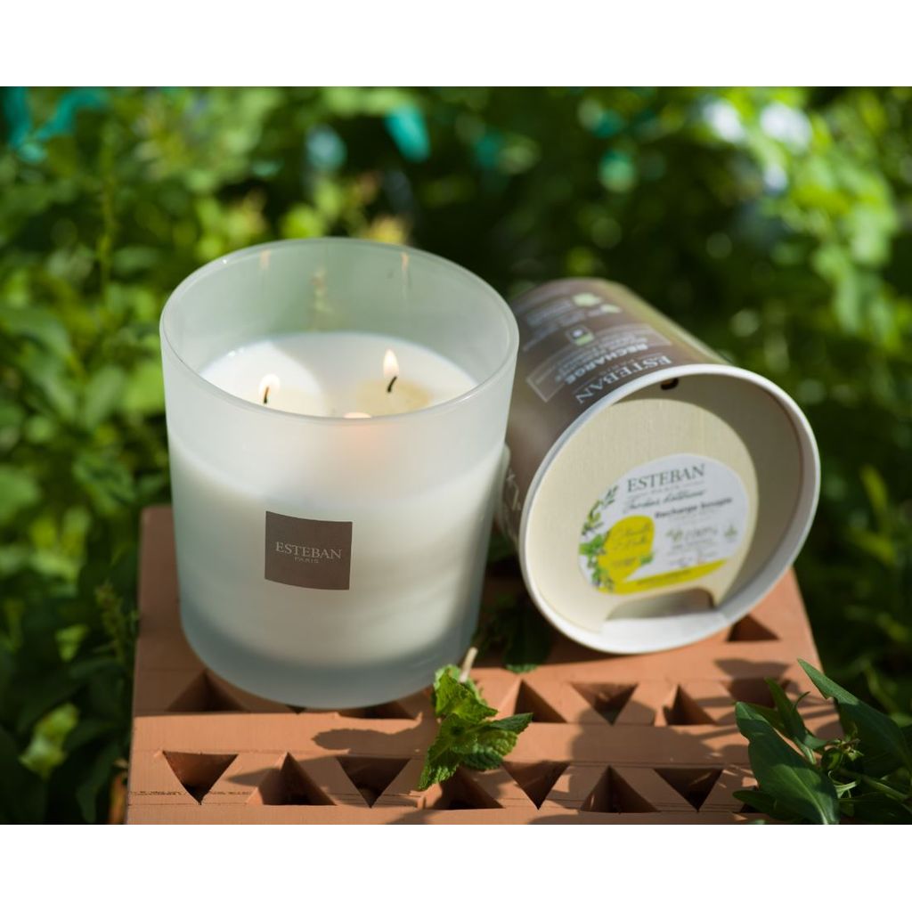 Bath & Body Works White Barn - Vela de 3 mechas en menta de eucalipto