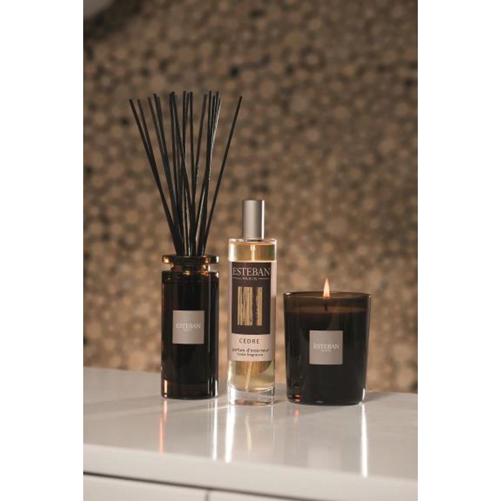 Bouquet parfumé initial 100ml Cèdre - Visuel 3