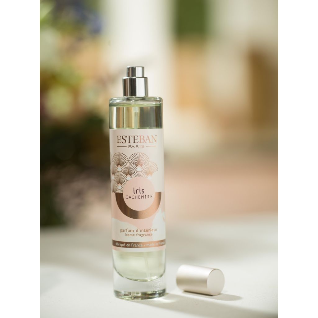 Bouquet parfumé Initial 100ml Cèdre, Fragrance sticks by Estéban
