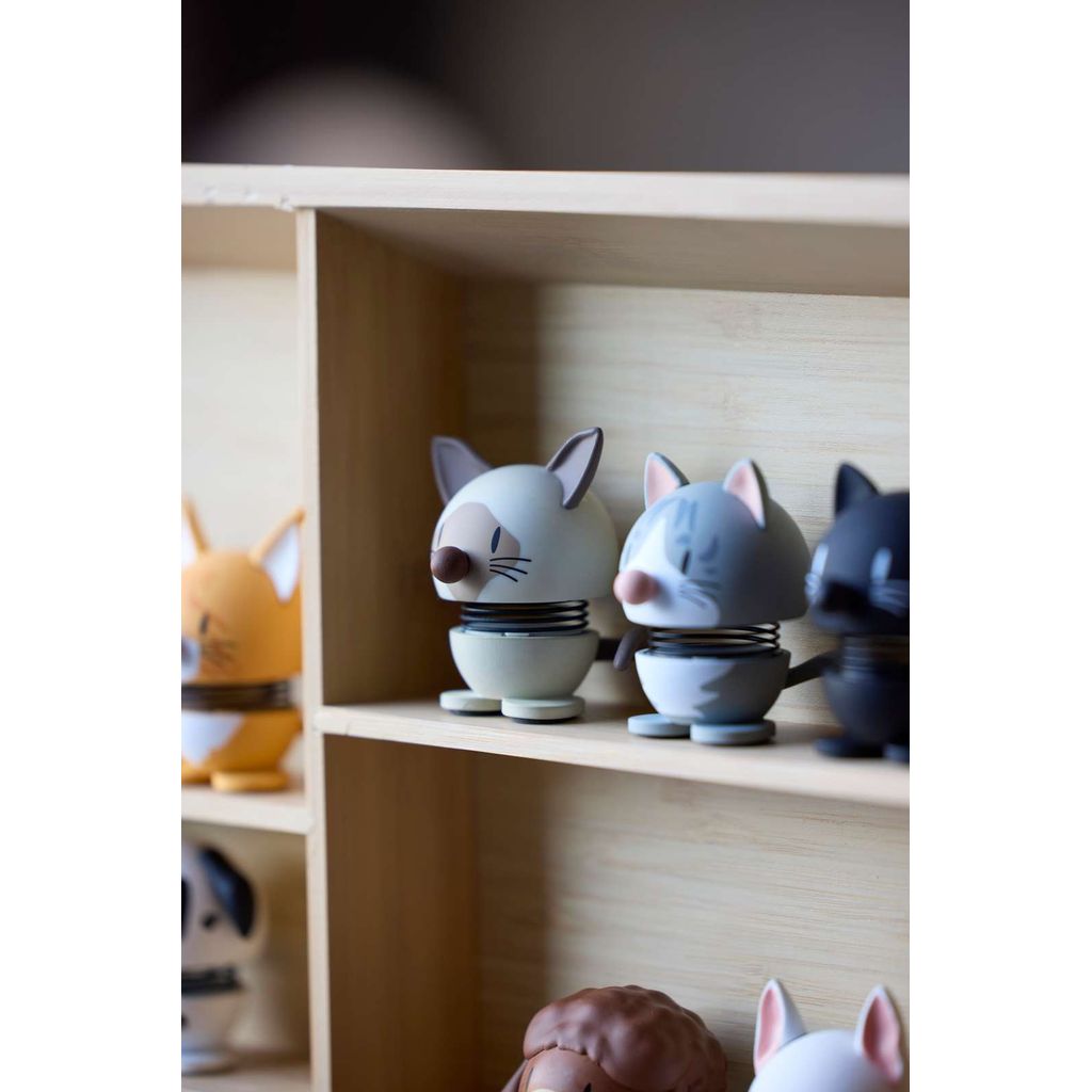 Hoptimist Chat Maine Coon - Visuel 2