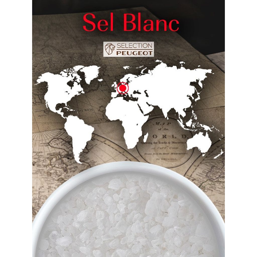 7 sachets fraîcheur de gros sel blanc d'Allemagne - Visuel 1