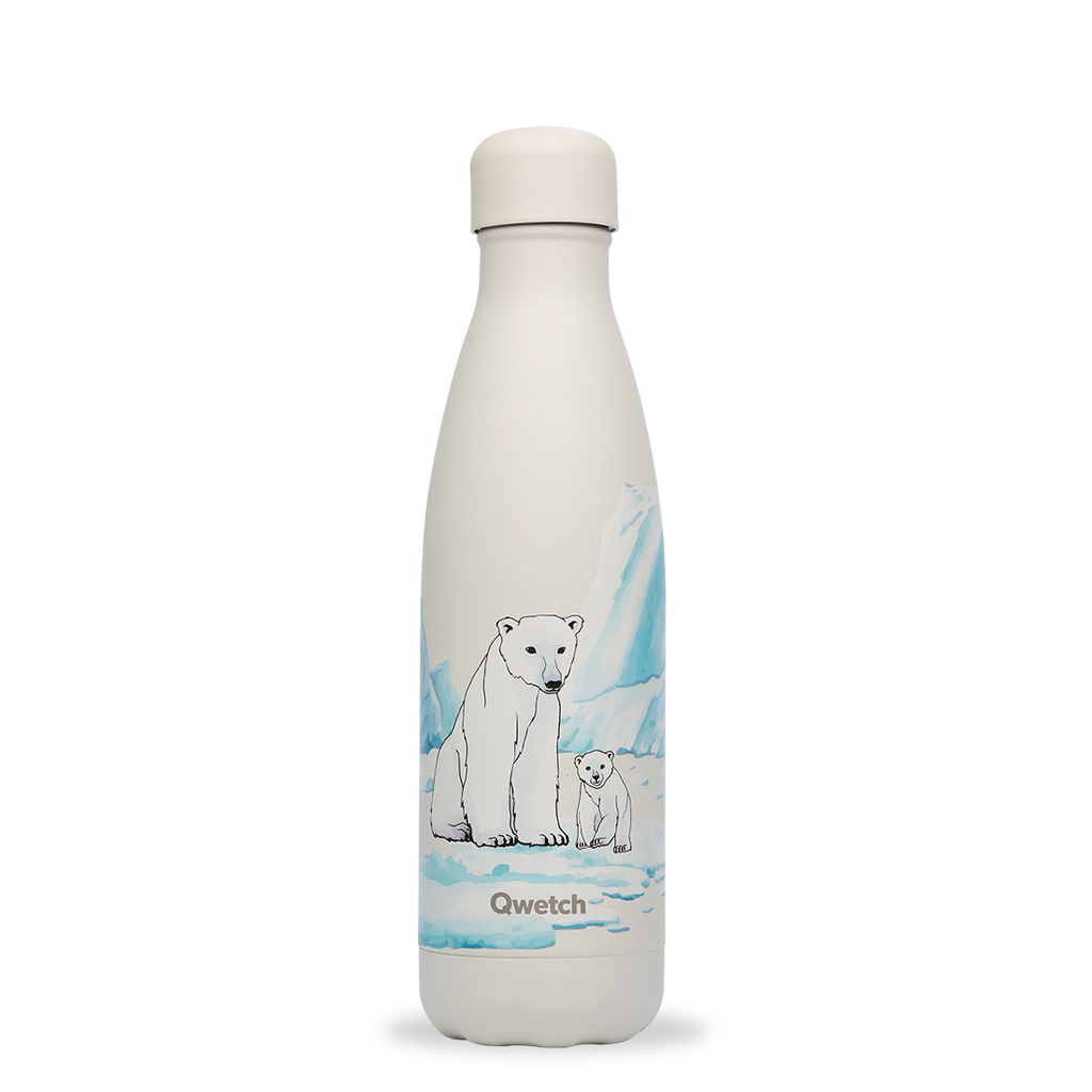 Bouteille isotherme banquise ours 500 ml - Visuel 0