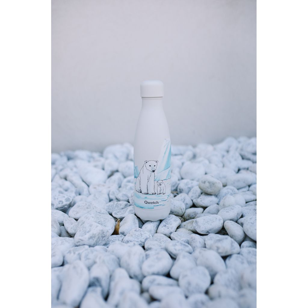 Bouteille isotherme banquise ours 500 ml - Visuel 1
