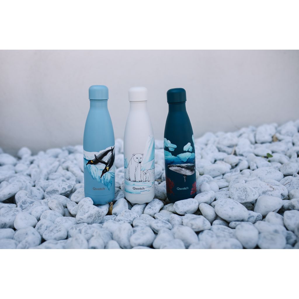 Bouteille isotherme banquise ours 500 ml - Visuel 2