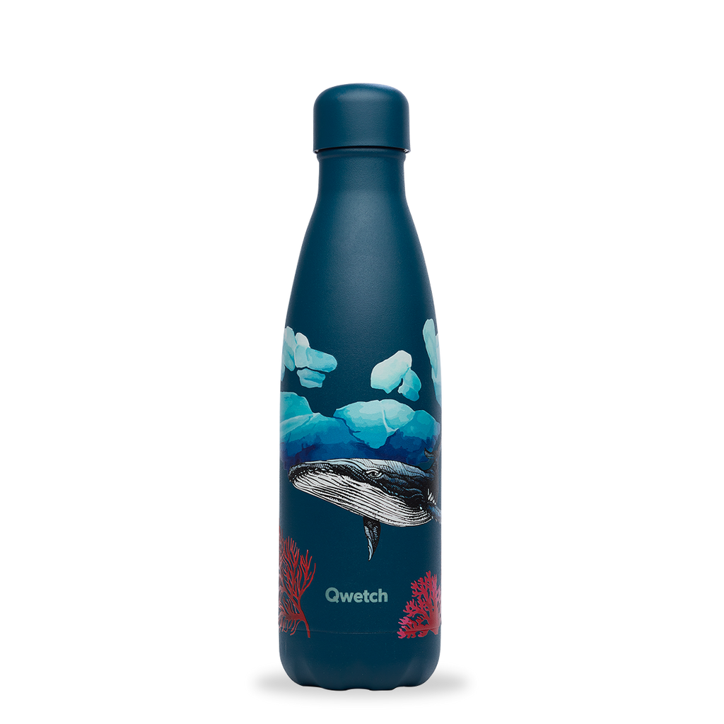 Bouteille isotherme banquise baleine 500 ml