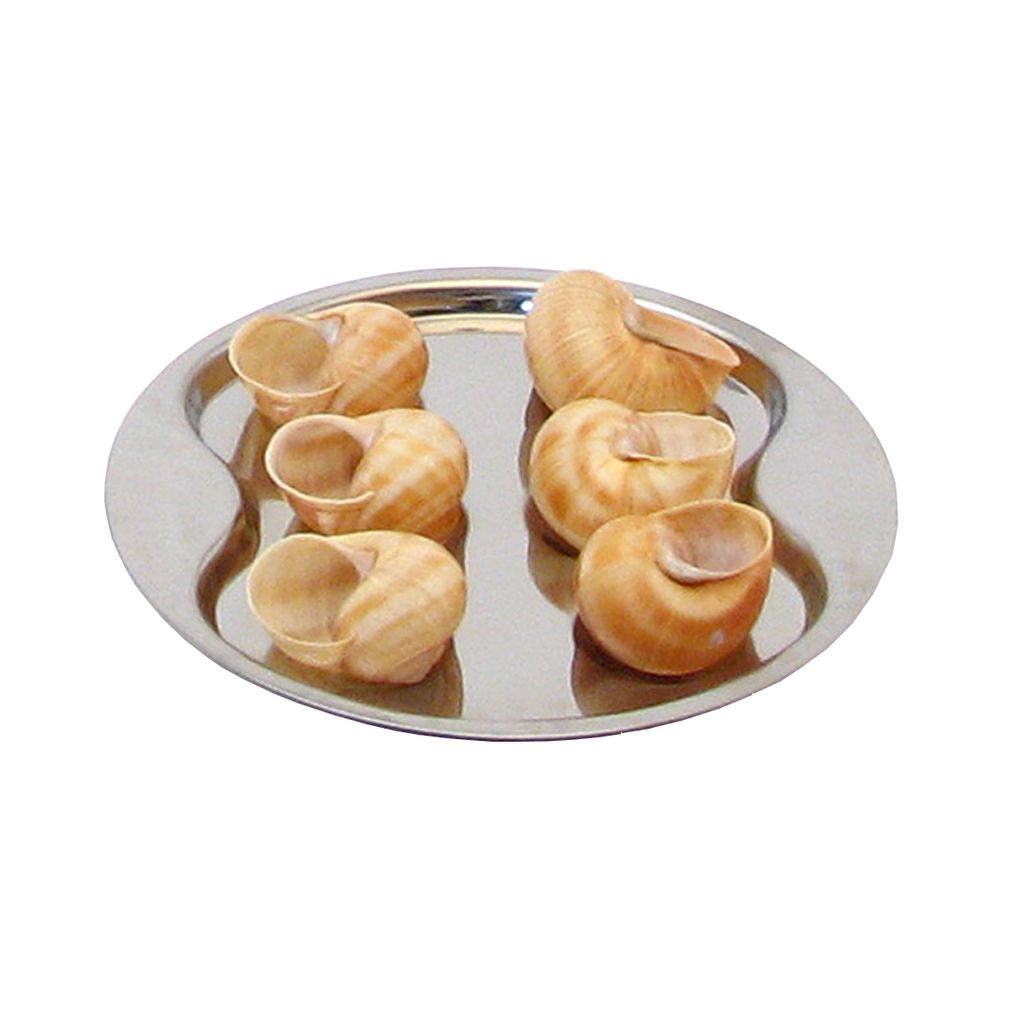 Assiette à escargots en inox - 6 empreintes - Visuel 0