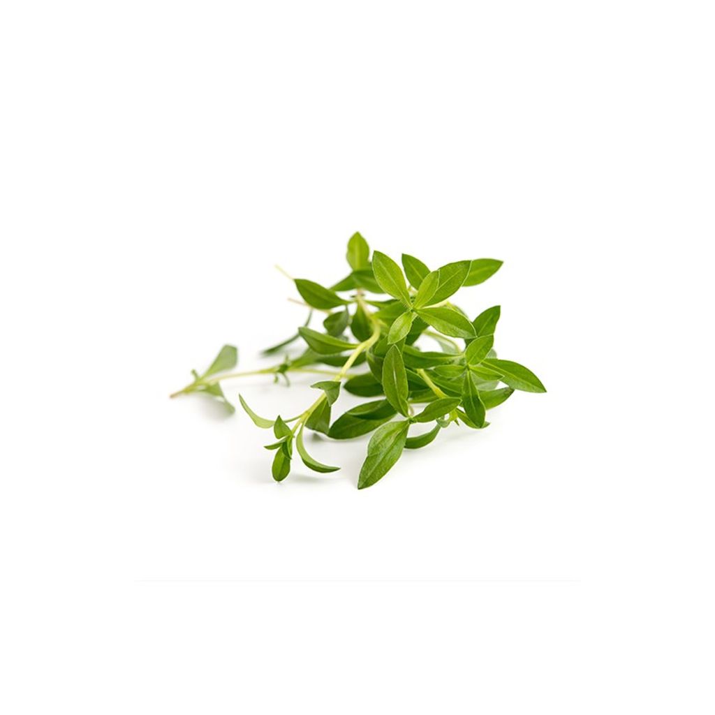 Lingot sarriette Bio - Visuel 0