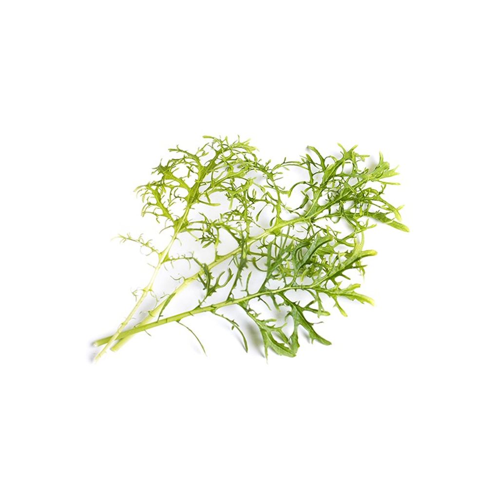 Lingot moutarde verte Bio - Visuel 0