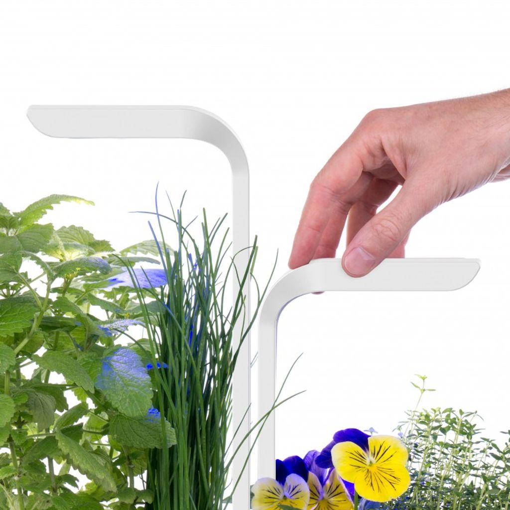 Potager d'intérieur Classic Blanc - Visuel 5