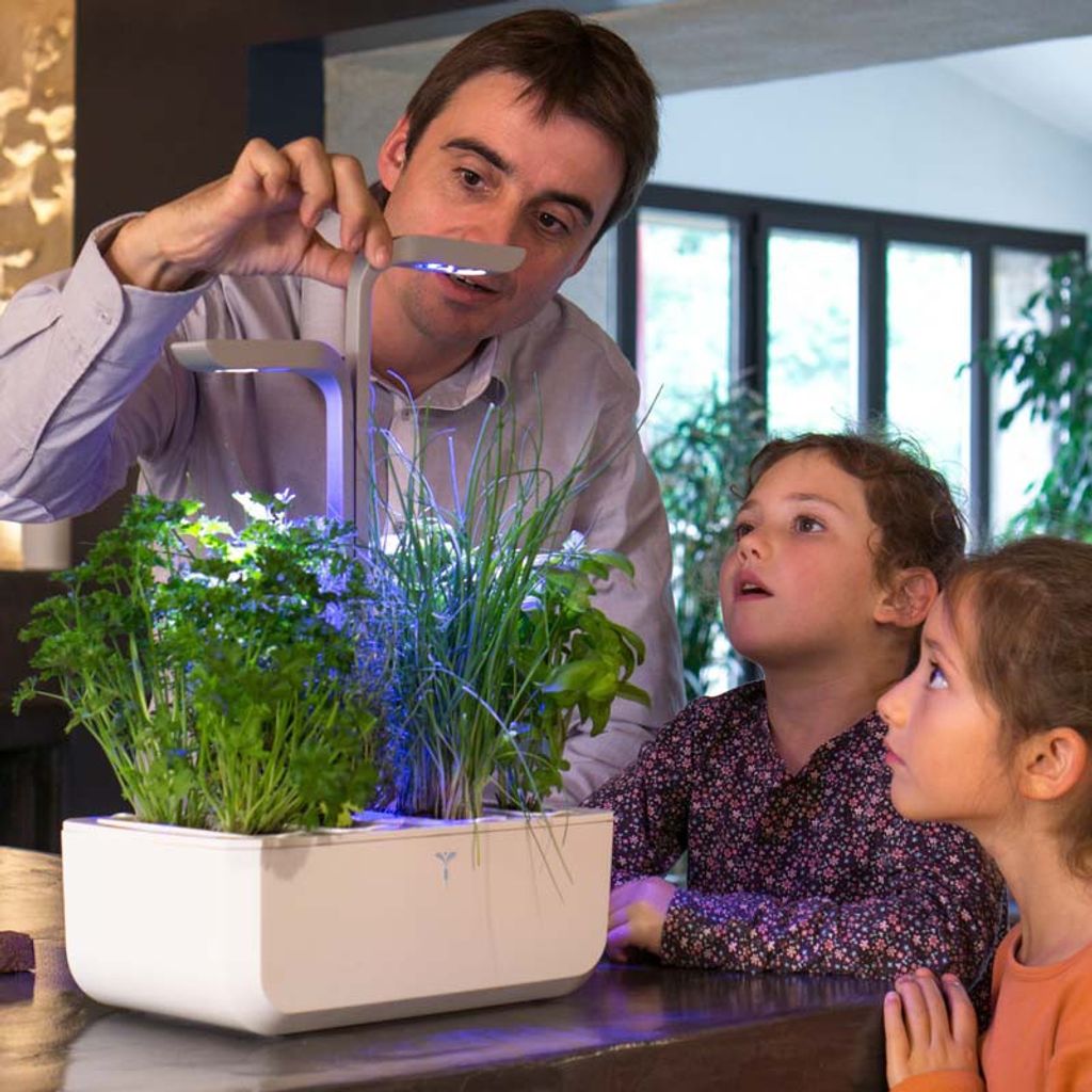 Potager d'intérieur Smart Blanc - Visuel 3