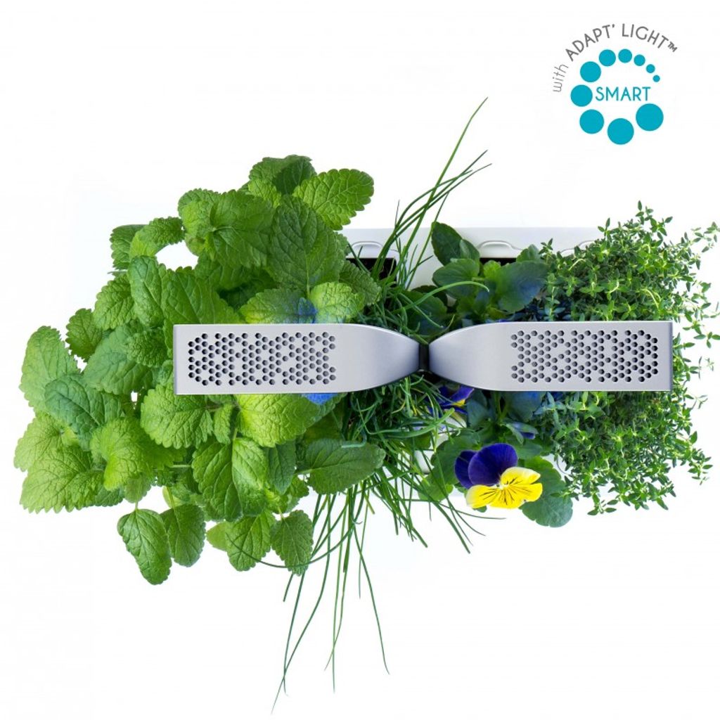 Potager d'intérieur Smart Blanc - Visuel 4