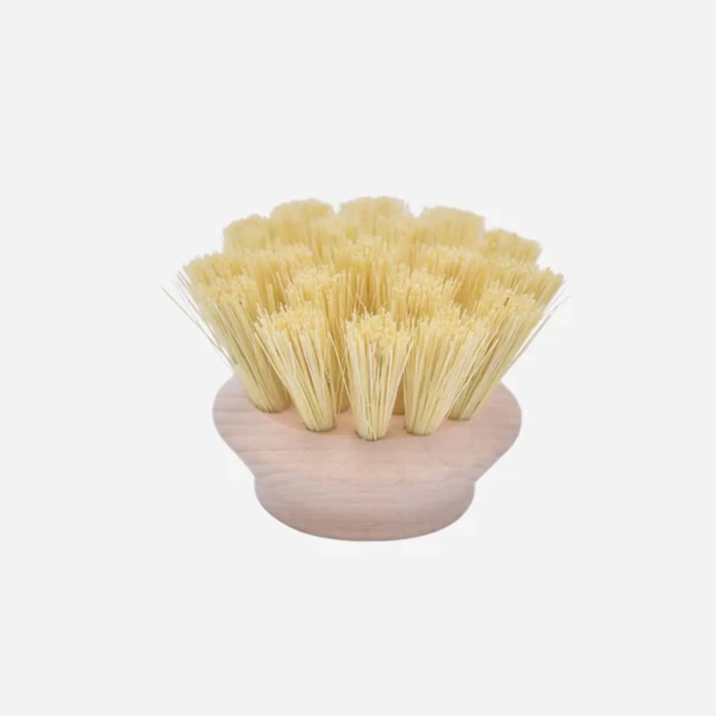 Tête de rechange SUPER brosse à vaisselle M