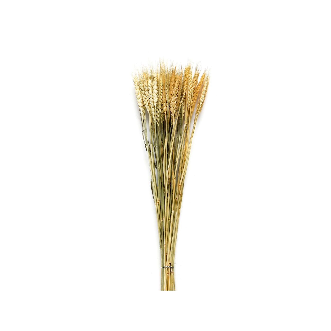 Bouquet de blé séché