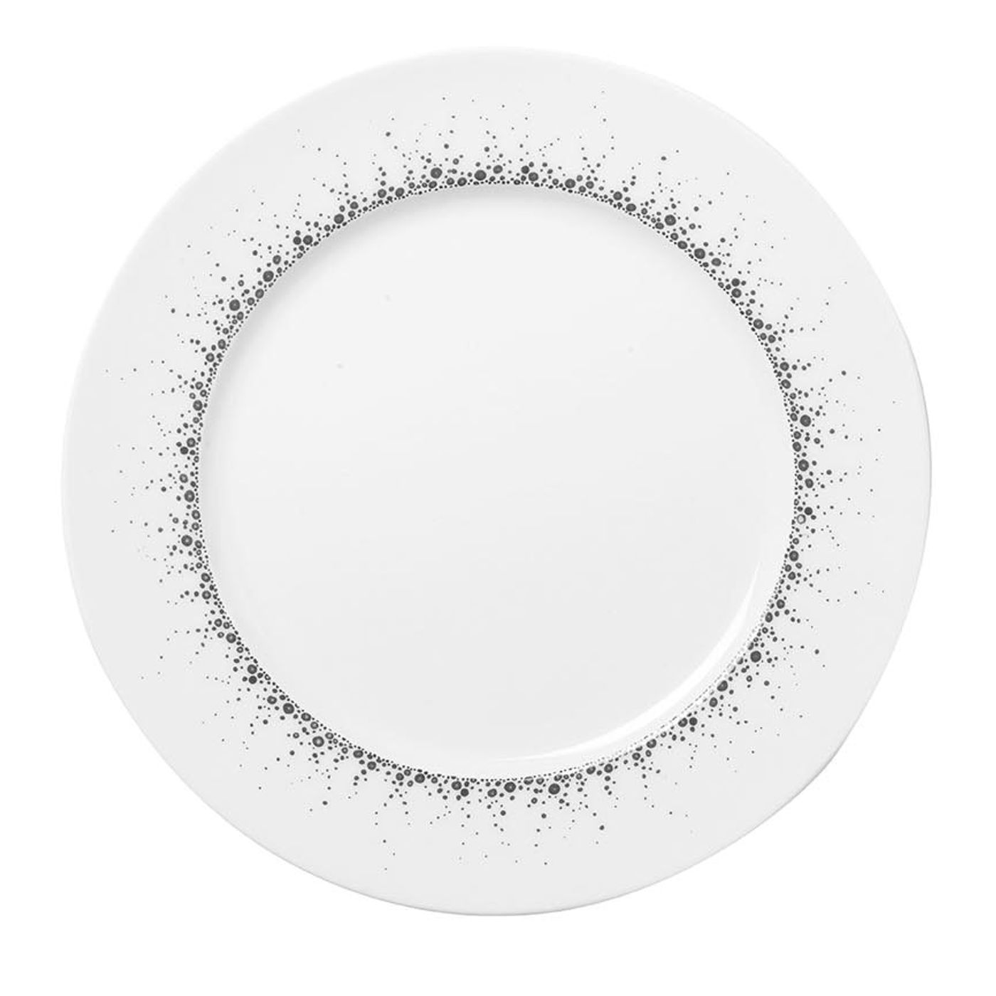 Assiette plate BOREALIS gris 27cm