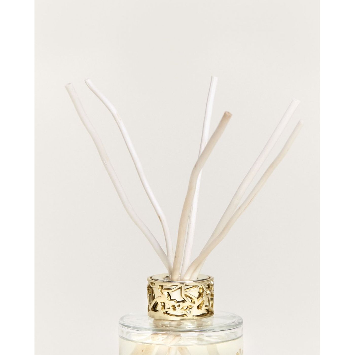Duo mini-bouquet + bougie LOLITA LEMPICKA - TRANSPARENT