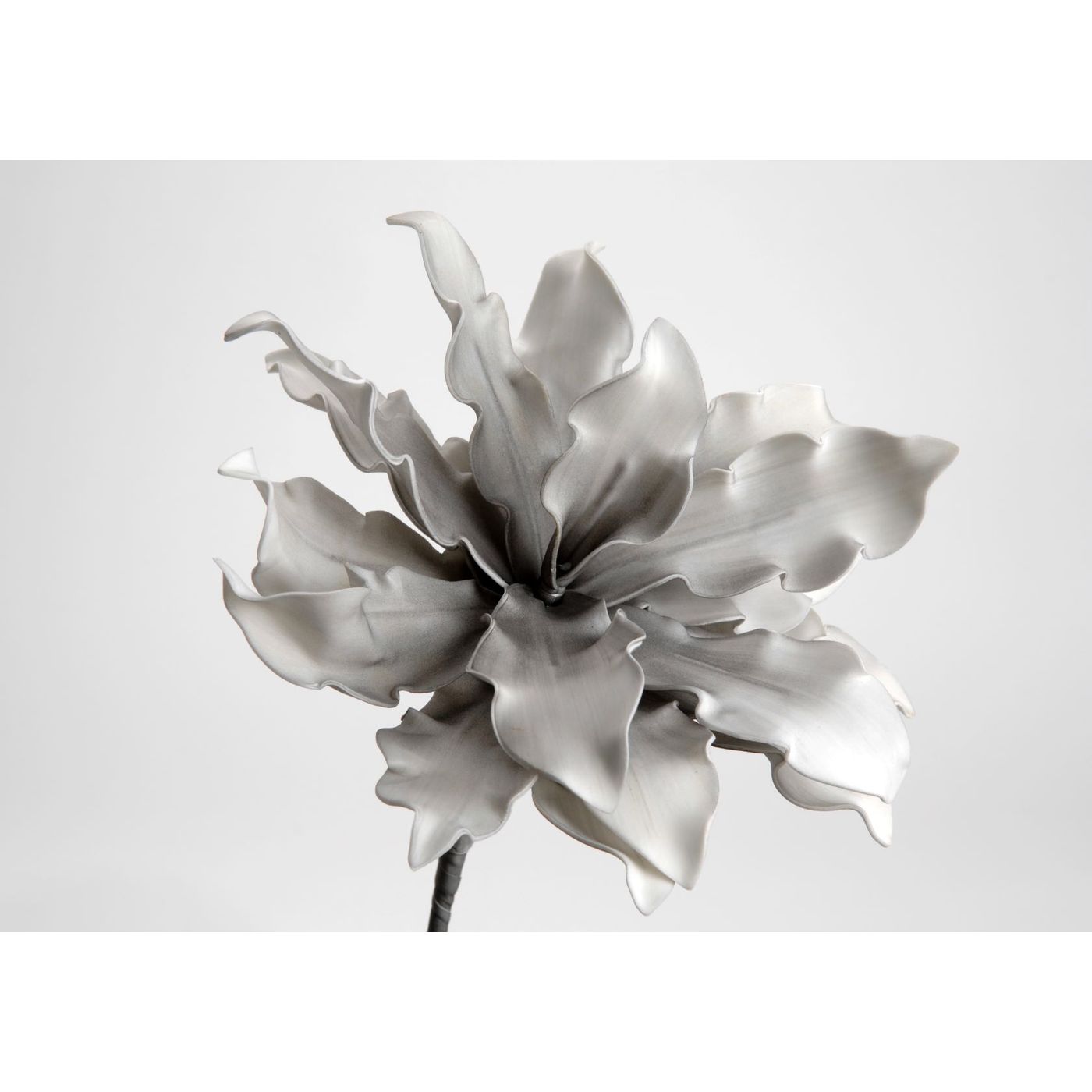 Fleur Cumbia grise