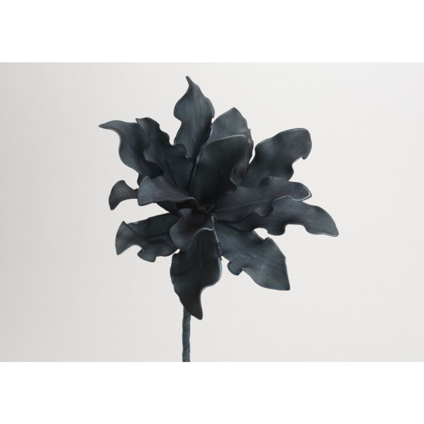 Fleur Cumbia bleue foncé