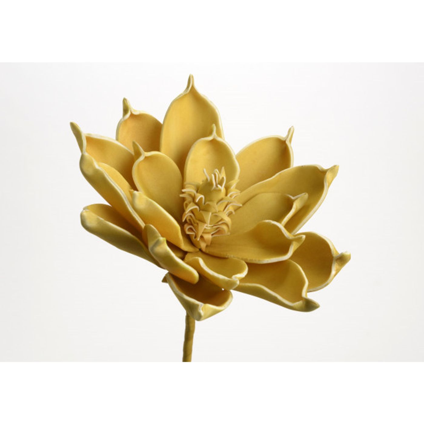 Fleur Ania moutarde