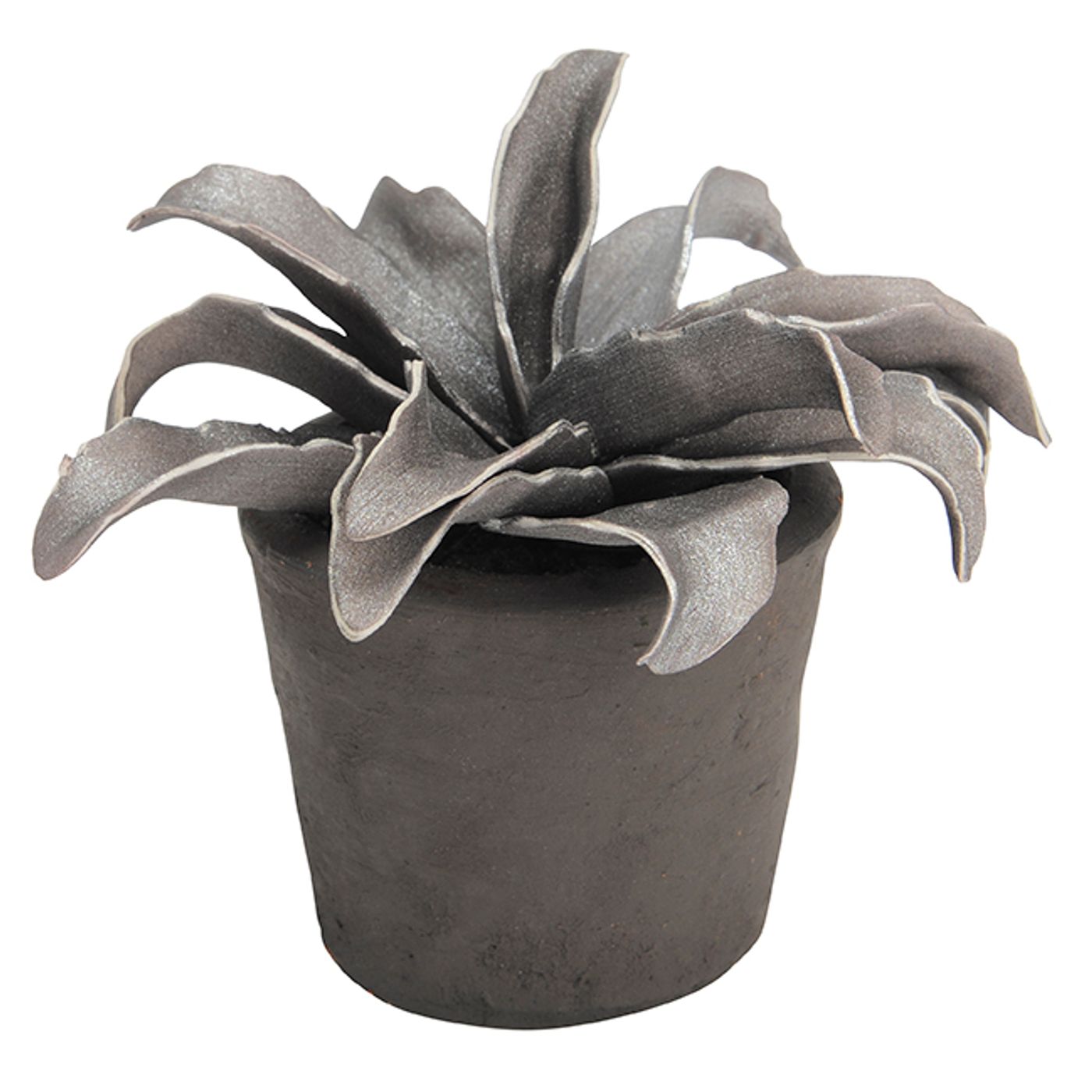 Cumbia en pot mordore gris