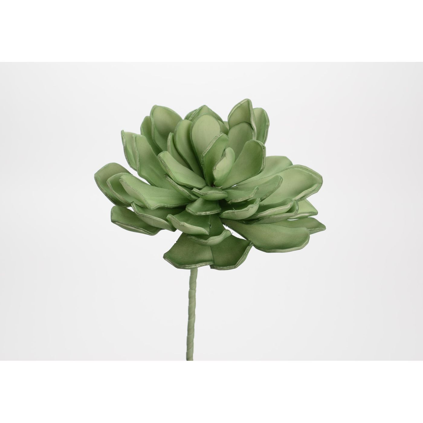 Fleur gina verte