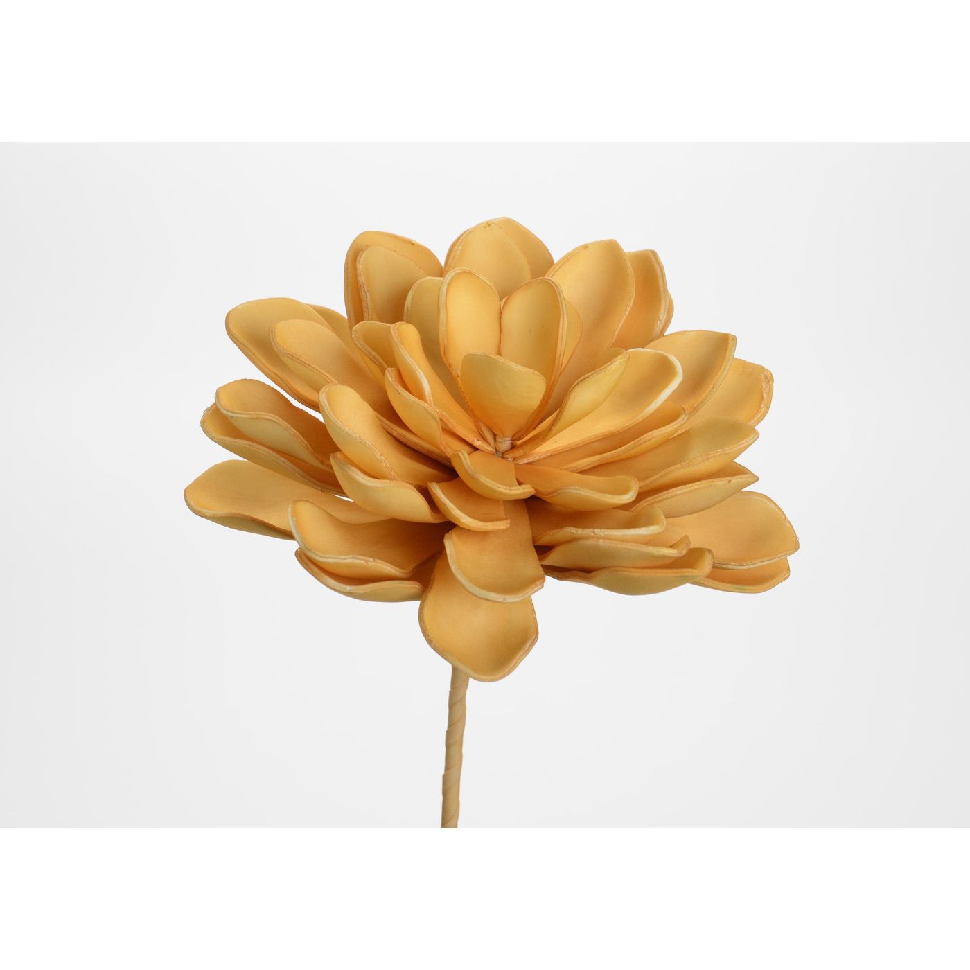 Fleur gina miel