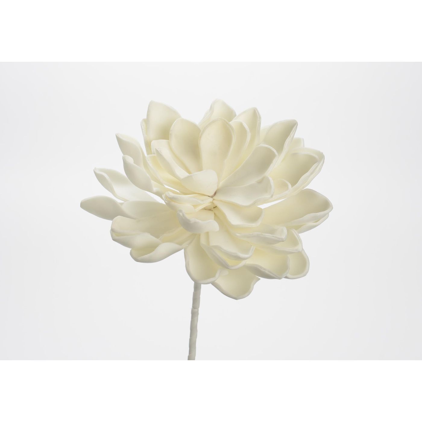 FLEUR GINA BLANCHE
