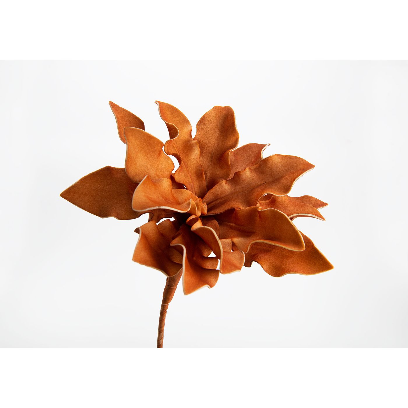 Fleur Cumbia orange foncé