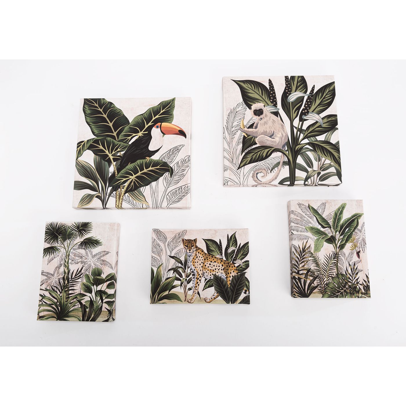 Lot de 5 toiles Jungle
