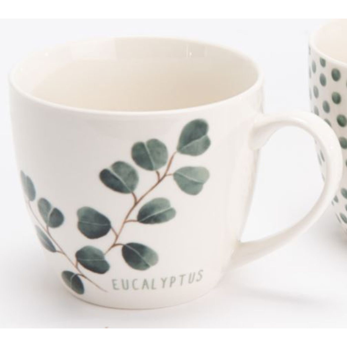 Tasse à thé Eucalyptus Feuille 48 cl