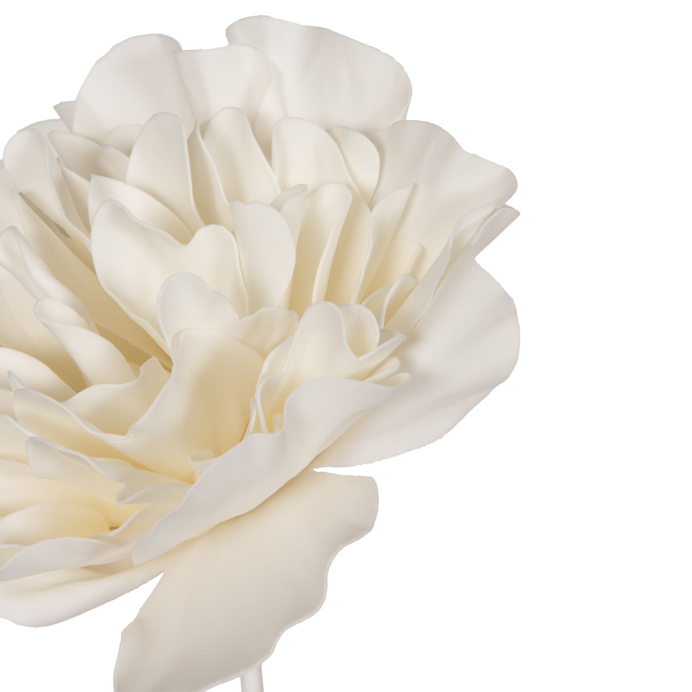 Fleur Eva Mila blanche